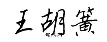 王正良王胡簧行书个性签名怎么写