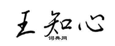 王正良王知心行书个性签名怎么写