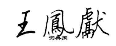 王正良王凤献行书个性签名怎么写