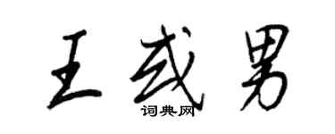 王正良王或男行书个性签名怎么写