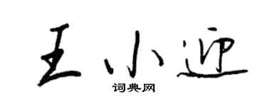 王正良王小迎行书个性签名怎么写