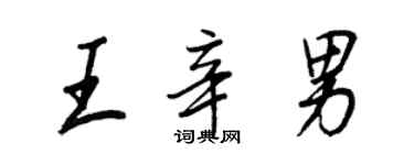 王正良王辛男行书个性签名怎么写