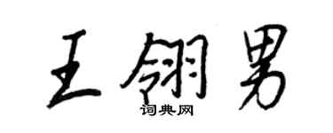 王正良王翎男行书个性签名怎么写