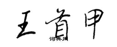 王正良王首甲行书个性签名怎么写