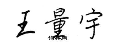 王正良王量宇行书个性签名怎么写