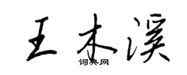 王正良王木溪行书个性签名怎么写