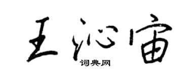 王正良王沁宙行书个性签名怎么写