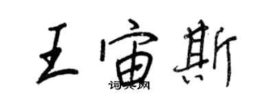 王正良王宙斯行书个性签名怎么写