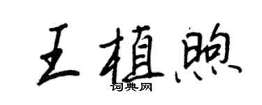 王正良王植煦行书个性签名怎么写