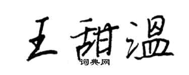 王正良王甜温行书个性签名怎么写