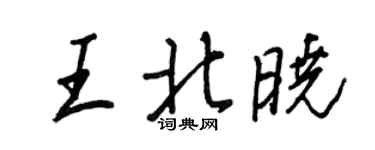 王正良王北晓行书个性签名怎么写