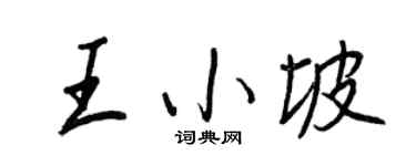 王正良王小坡行书个性签名怎么写