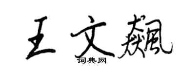 王正良王文飙行书个性签名怎么写