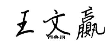 王正良王文赢行书个性签名怎么写