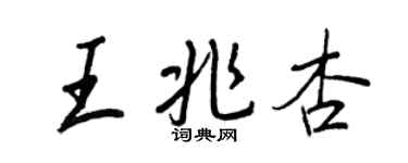 王正良王兆杏行书个性签名怎么写