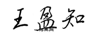王正良王盈知行书个性签名怎么写