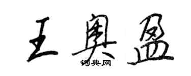王正良王奥盈行书个性签名怎么写