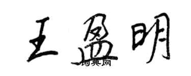 王正良王盈明行书个性签名怎么写