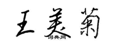 王正良王美菊行书个性签名怎么写