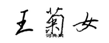 王正良王菊女行书个性签名怎么写