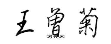王正良王曾菊行书个性签名怎么写