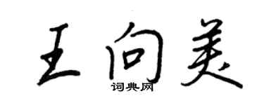 王正良王向美行书个性签名怎么写