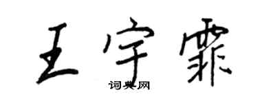 王正良王宇霏行书个性签名怎么写