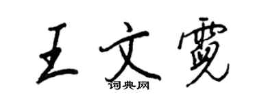 王正良王文霓行书个性签名怎么写