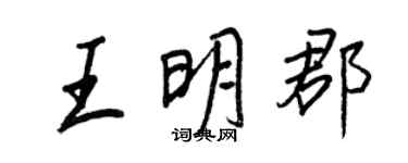 王正良王明郡行书个性签名怎么写