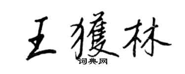 王正良王获林行书个性签名怎么写