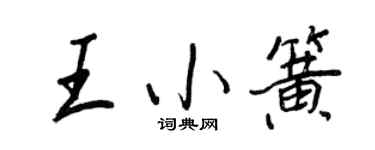 王正良王小簧行书个性签名怎么写