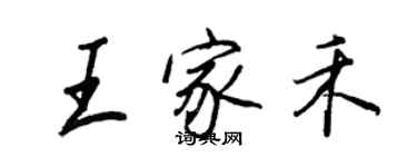 王正良王家禾行书个性签名怎么写