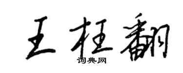 王正良王枉翻行书个性签名怎么写