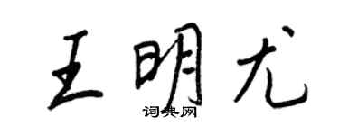 王正良王明尤行书个性签名怎么写