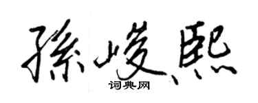 王正良孙峻熙行书个性签名怎么写