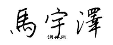 王正良马宇泽行书个性签名怎么写