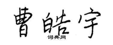 王正良曹皓宇行书个性签名怎么写