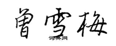 王正良曾雪梅行书个性签名怎么写