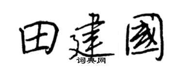 王正良田建国行书个性签名怎么写