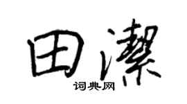 王正良田洁行书个性签名怎么写