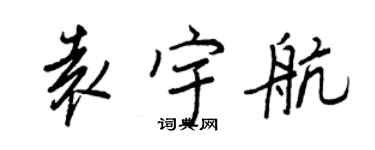 王正良袁宇航行书个性签名怎么写