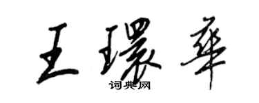 王正良王环华行书个性签名怎么写
