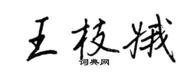 王正良王枝娥行书个性签名怎么写