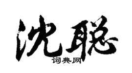 胡问遂沈聪行书个性签名怎么写