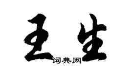 胡问遂王生行书个性签名怎么写