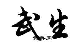 胡问遂武生行书个性签名怎么写
