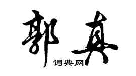 胡问遂郭真行书个性签名怎么写