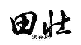 胡问遂田壮行书个性签名怎么写