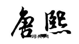 胡问遂唐熙行书个性签名怎么写