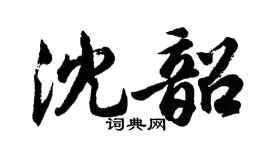 胡问遂沈韶行书个性签名怎么写